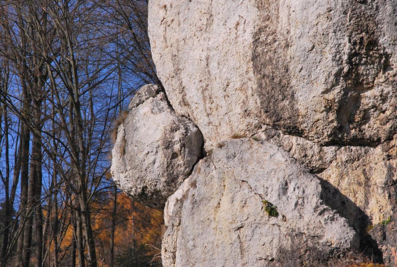 Pokoje Goscinne U Grazyny Ojcow Exterior photo