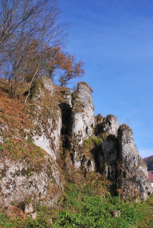 Pokoje Goscinne U Grazyny Ojcow Exterior photo