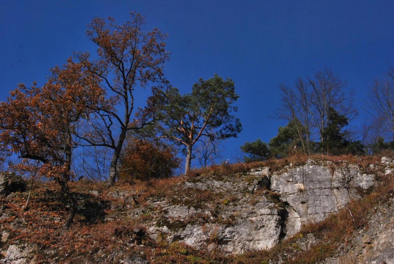 Pokoje Goscinne U Grazyny Ojcow Exterior photo