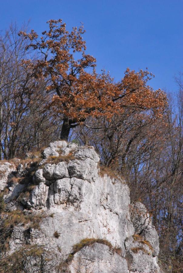 Pokoje Goscinne U Grazyny Ojcow Exterior photo