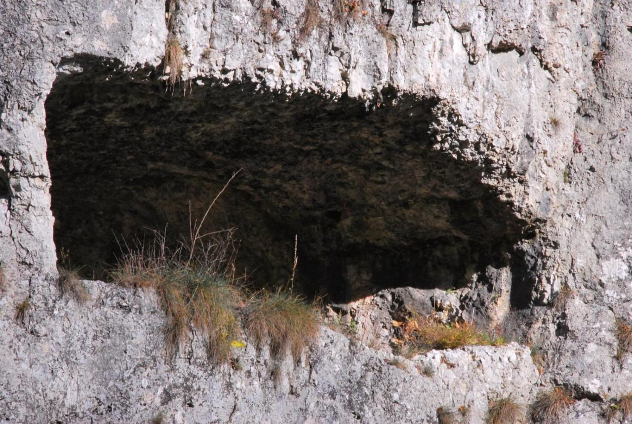 Pokoje Goscinne U Grazyny Ojcow Exterior photo